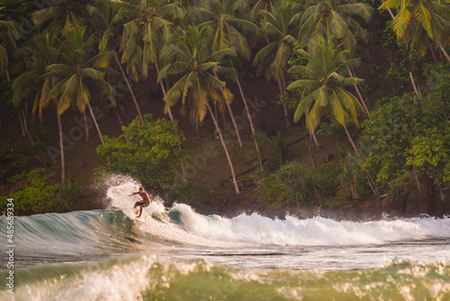 Mirissa Beach, surfer surfing at sunset, South Coast of Sri Lanka, Southern Province, Asia