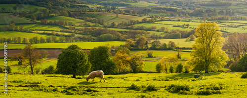 Autumn colours at sunset, Winchcombe and the Sudely Valley, The Cotswolds, Gloucestershire, England, United Kingdom, Europe