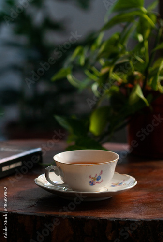 hot tea, plants and a good book