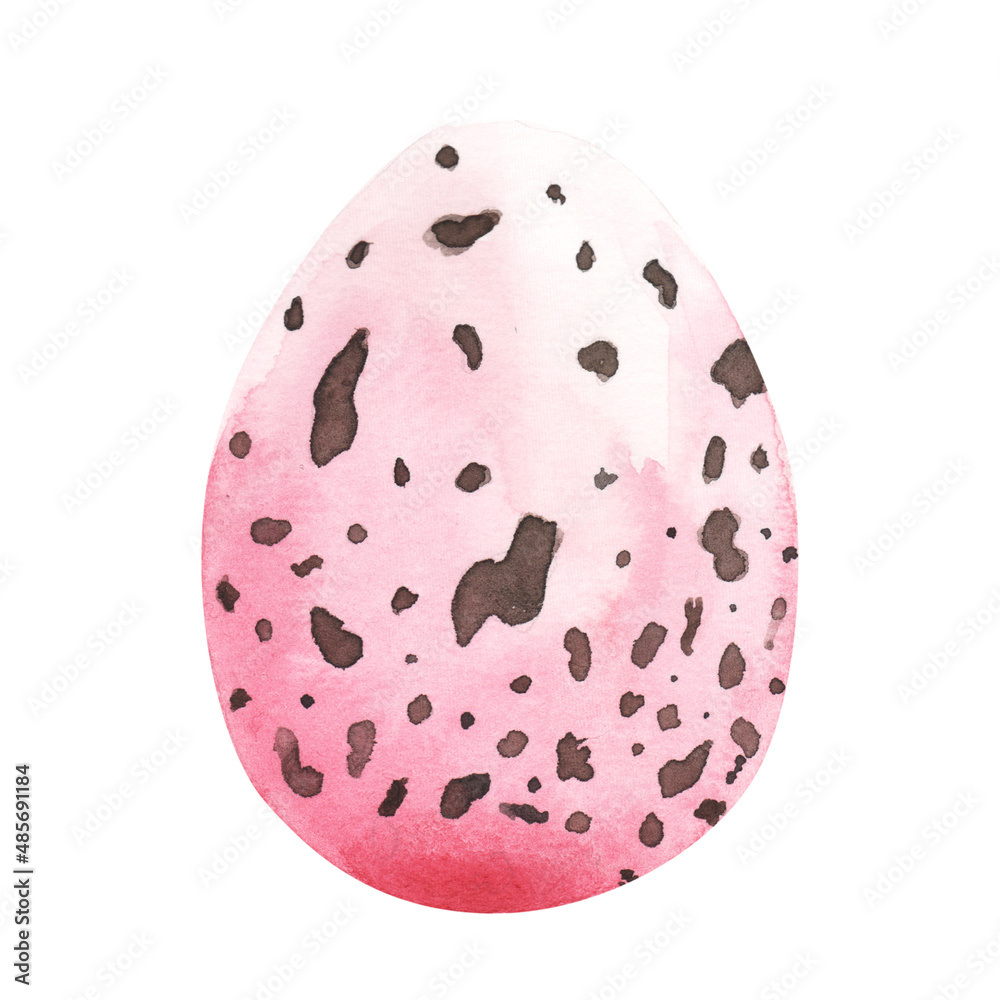 Easter eggs watercolor illustration creative hand drawn chicken Easter eggs watercolor illustration creative hand drawn chicken