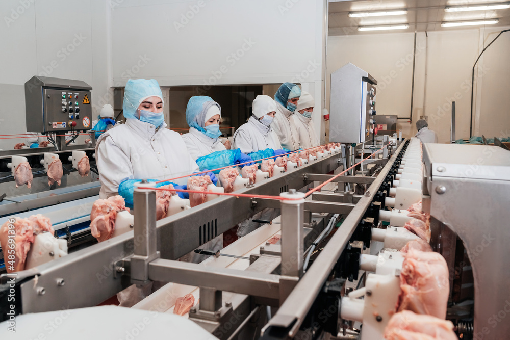 Meat processing equipment. Food products meat chicken fillet production ...
