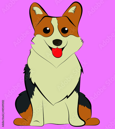drawing pet dog corgi dog animated tender