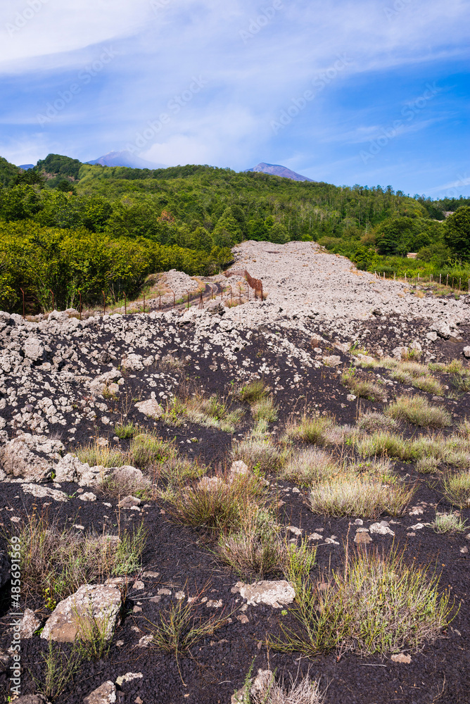 Old lava field, Mount Etna Volcano, Sicily, UNESCO World Heritage Site, Italy, Europe