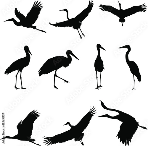 Group of storks Silhouette , Silhouette of crane birds or herons flying and standing set. 
