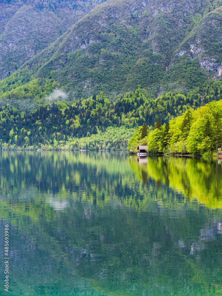 Lake Bohinj reflections, Triglav National Park, Julian Alps, Slovenia, Europe