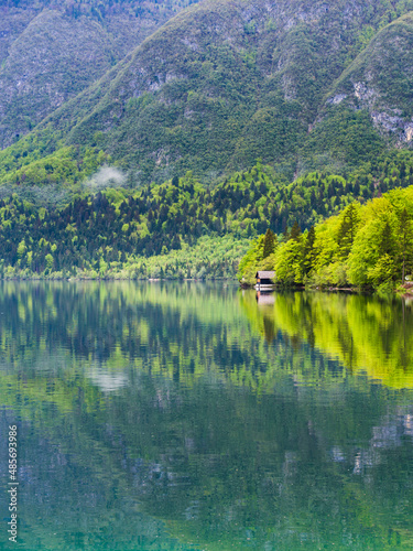 Lake Bohinj reflections, Triglav National Park, Julian Alps, Slovenia, Europe