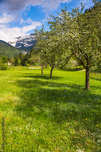 Soca Valley  Slovenia. Julian Alps  seen from Soca Valley in Triglav National Park  Julian Alps  Slovenia  Europe