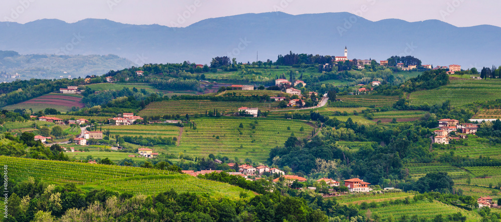 Vineyards in Goriska Brda, with Chiesa di San Floriano del Collio on top of the hill, Goriska Brda (Gorizia Hills), Slovenia, Europe