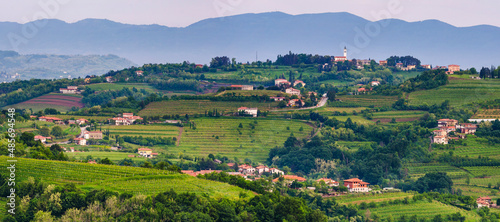 Vineyards in Goriska Brda, with Chiesa di San Floriano del Collio on top of the hill, Goriska Brda (Gorizia Hills), Slovenia, Europe photo