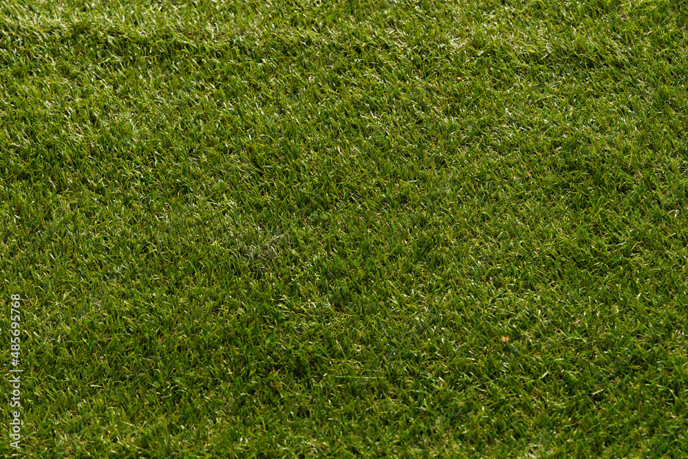 Fototapeta premium Green artificial turf