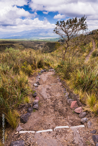 Walking path in Cotopaxi National Park, Cotopaxi Province, Ecuador