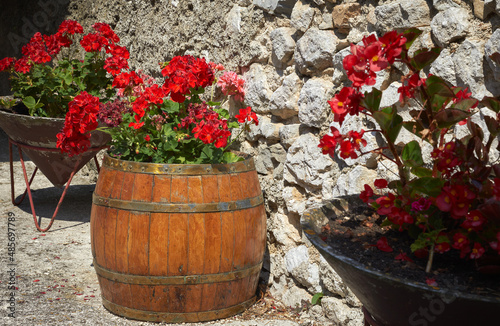 Old wooden barrel with red flowers petunias, growing inside. Element of landscape design for decoration stone wall.