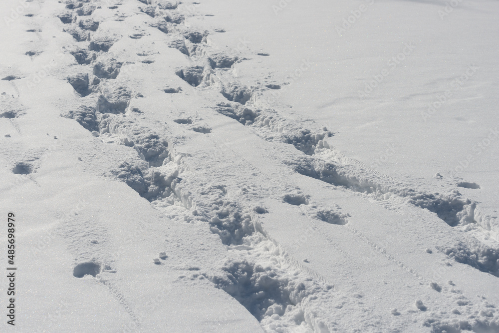 footprints in snow footprints in snow