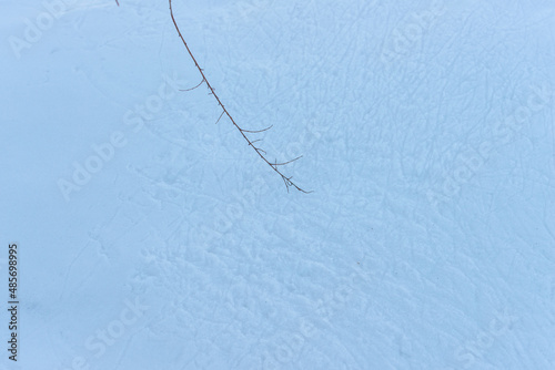 texture of snow - nature drawing with low hanging twig