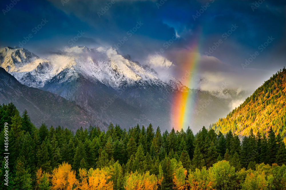 Aspens Rainbow