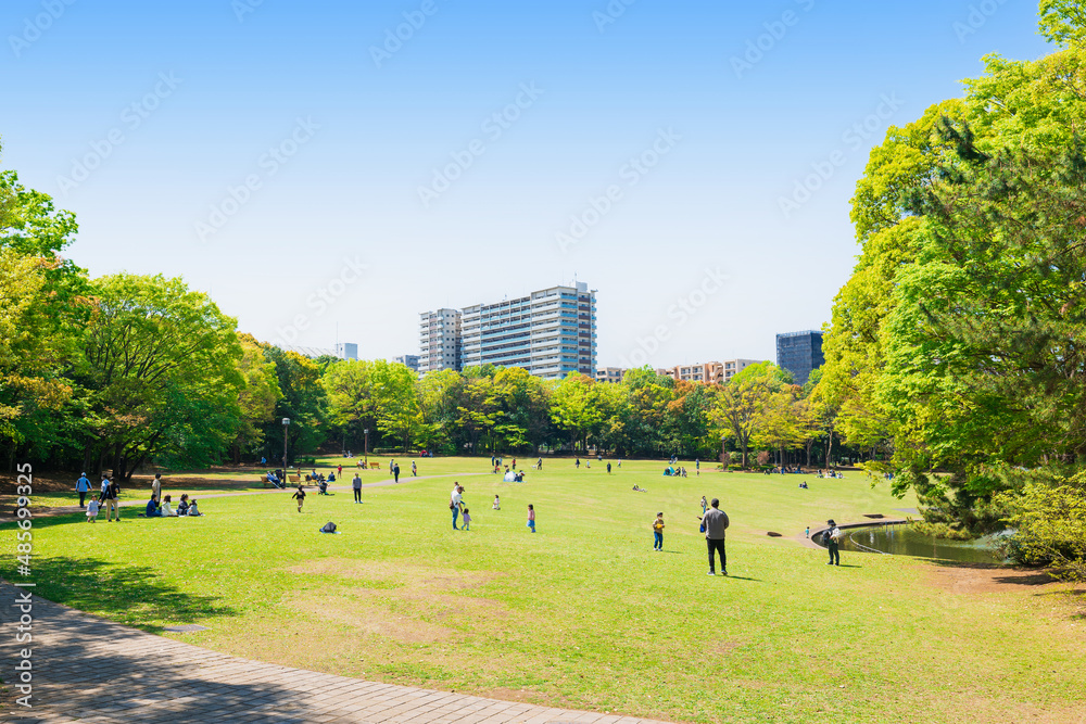 新緑が眩しい公園広場 多摩ニュータウン