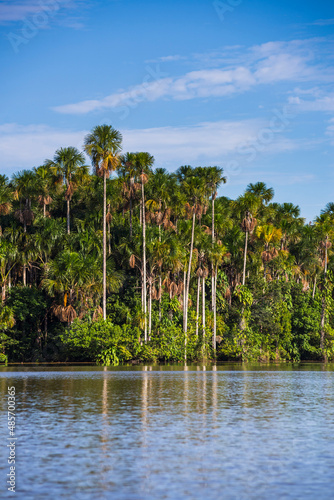 Sandoval Lake, Tambopata National Reserve, Tambopata Province, Amazon Jungle of Peru, South America