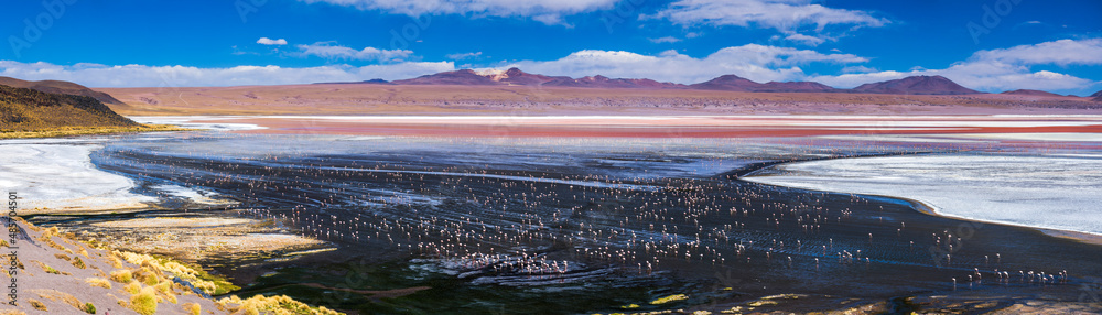 Flamingos at Laguna Colorada (Red Lagoon), a salt lake in the Altiplano of Bolivia in Eduardo Avaroa Andean Fauna National Reserve, South America