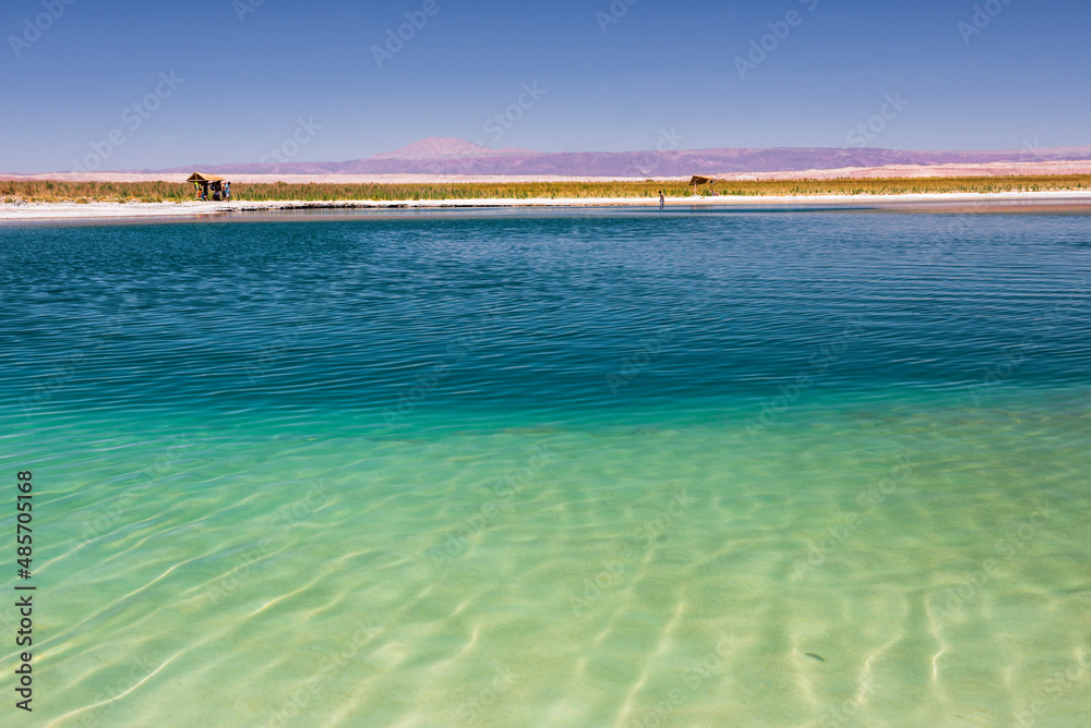 Laguna Cejar (aka floating salt lake lagoon), Atacama Desert, North Chile, South America
