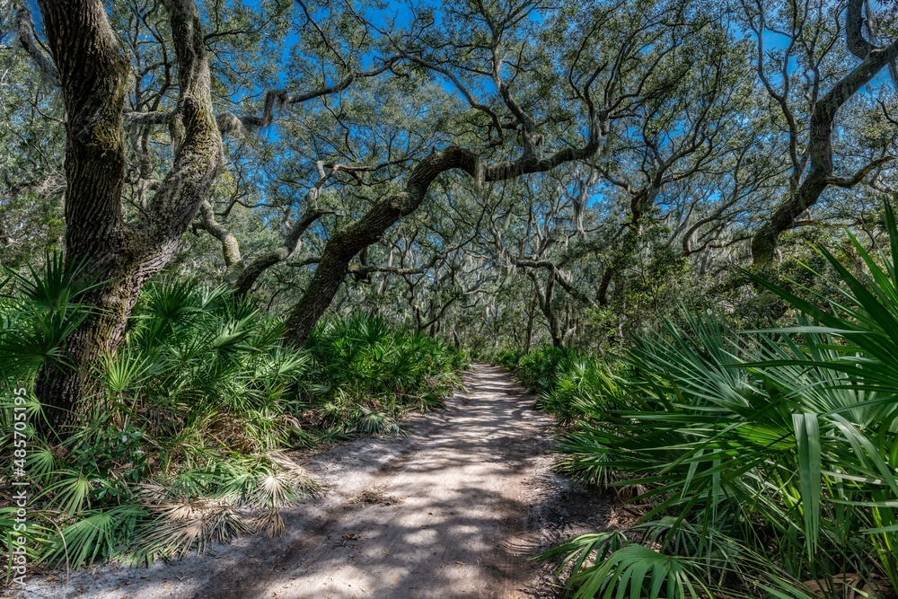 Fototapeta premium creative