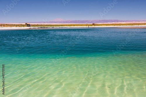 Laguna Cejar  aka floating salt lake lagoon   Atacama Desert  North Chile  South America