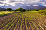 Rural Cachi Valley farmland landscape with Andes Mountains and dramatic clouds at sunset, Calchaqui Valleys, Salta Province, North Argentina, South America