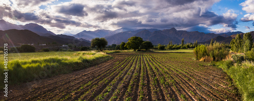 Fototapeta Naklejka Na Ścianę i Meble -  Rural Cachi Valley farmland landscape with Andes Mountains and dramatic clouds at sunset, Calchaqui Valleys, Salta Province, North Argentina, South America