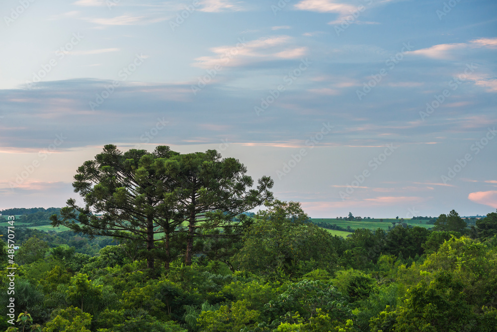 Obraz premium Viewing tower at Posada Puerto Bemberg Hotel, accommodation near Iguazu Falls and Puerto Iguazu, Misiones Province, Argentina, South America