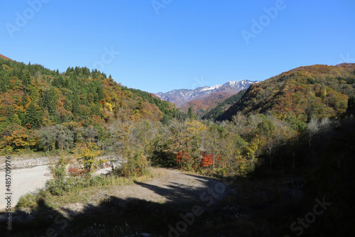 石川県道33号白山公園線の紅葉と雪化粧の白山（石川県白山市）