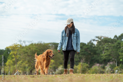 Golden Retriever accompanies its owner for a walk on the grass