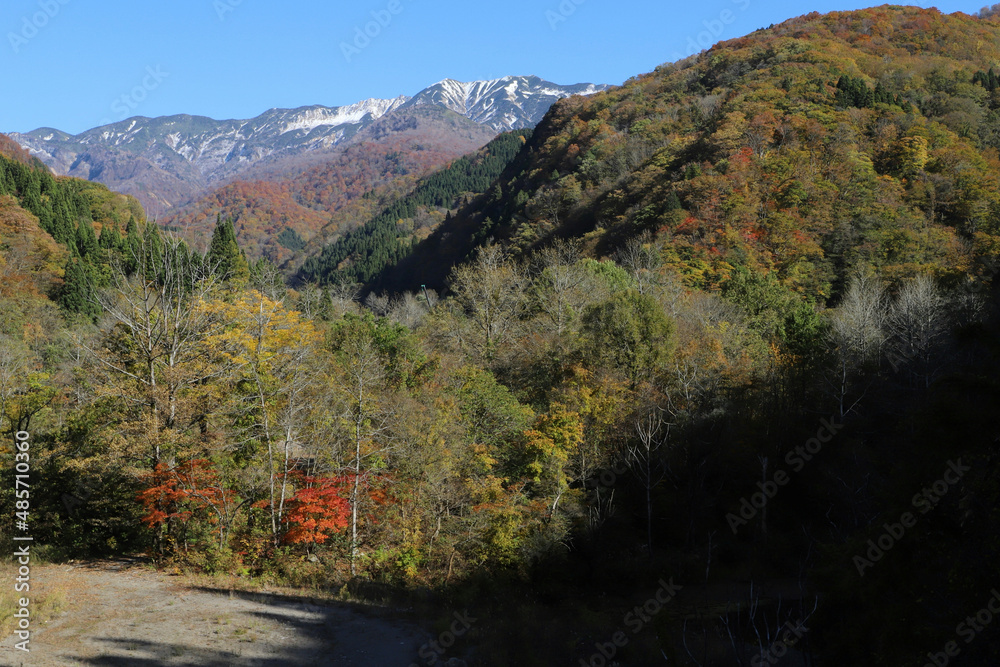 石川県道33号白山公園線の紅葉と雪化粧の白山（石川県白山市）