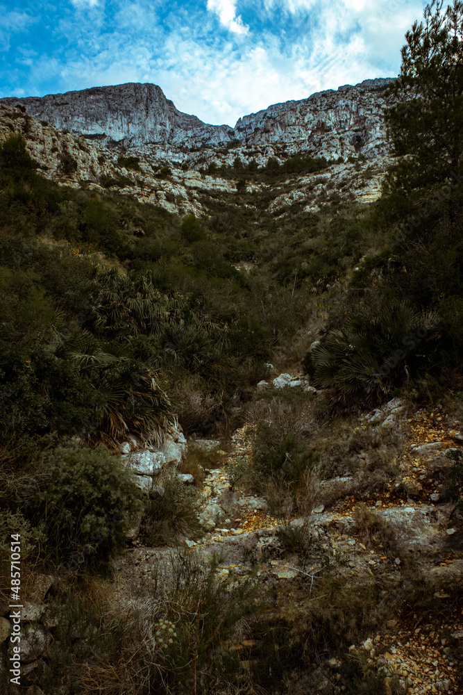 Spain Spain
