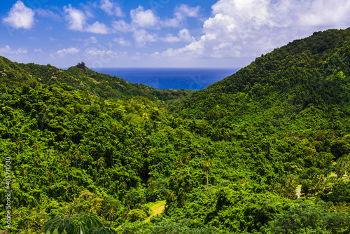 Inner Rarotonga, Cook Islands