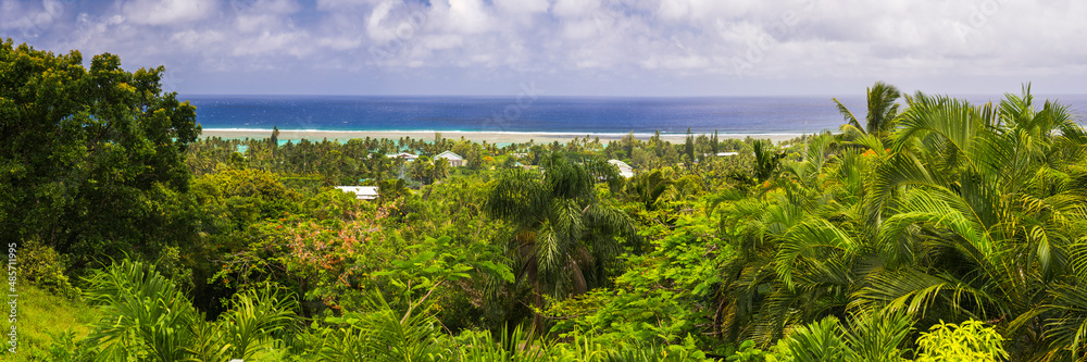 Tropical palm tree jungle with blue Pacific Ocean behind, at Rarotonga, Cook Islands, South Pacific Ocean