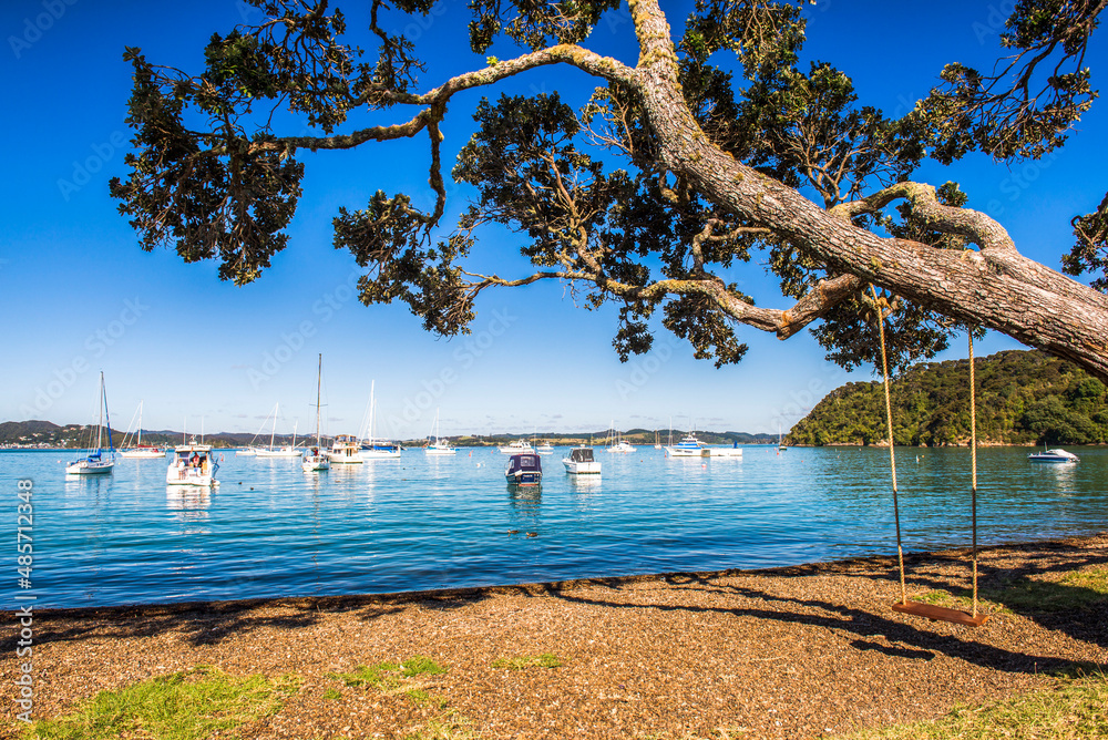 Fotka „Swing on Russell Beach waterfront, Bay of Islands, Northland