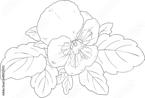 手描きのパンジーの花