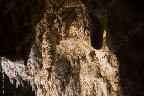 Stalagtites in Waitomo Caves, Waikato Region, North Island, New Zealand photo