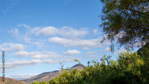 Landscape scene in the Central Karoo region of South Africa photo