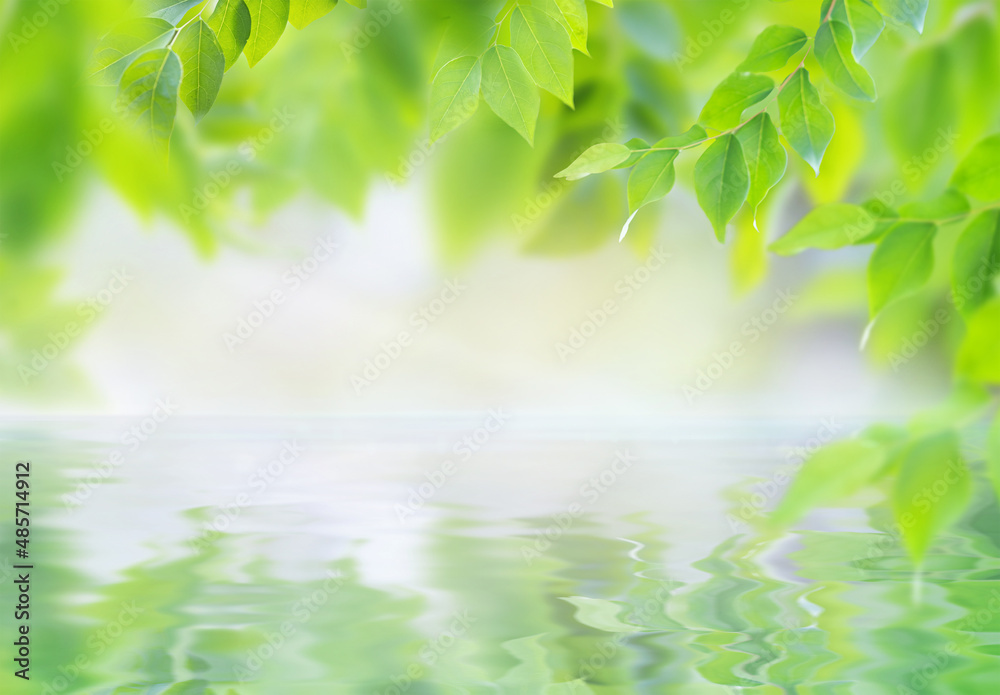 Leaves over water nature background Leaves over water nature background