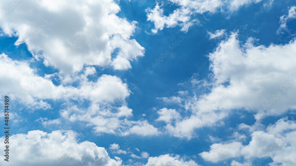 Fototapeta premium 青空・雲