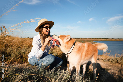Funny Akita Inu dog playing...