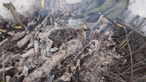 Wallpaper Mural Smocking Charcoals of Fire Torontodigital.ca