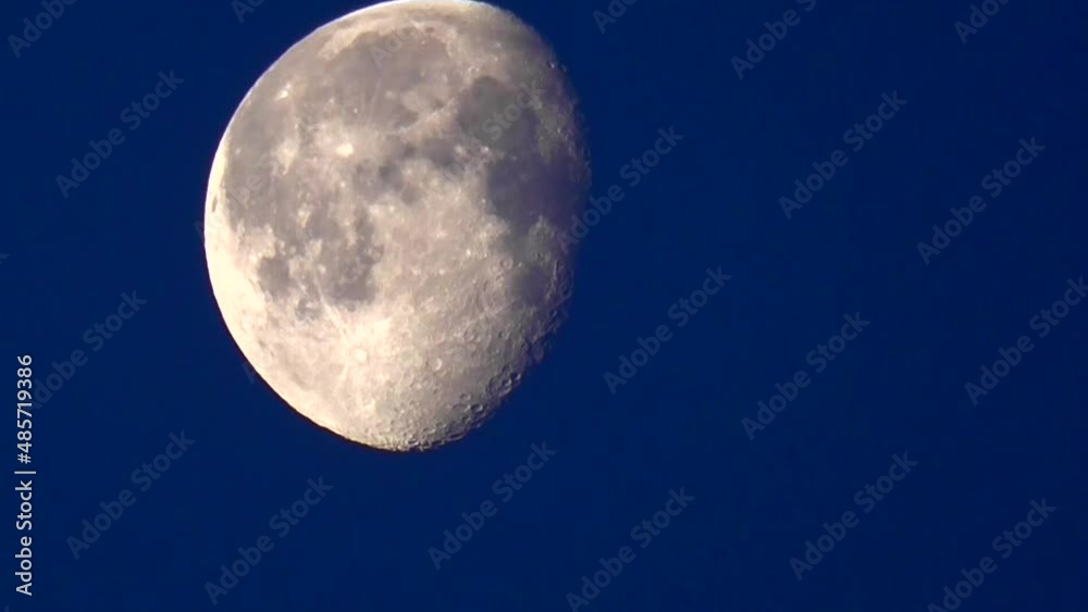 Moon Light Moon Light