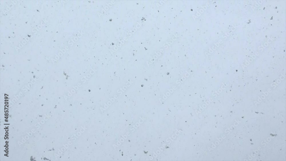 Snow Snow