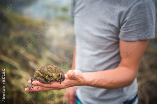 Φωτογραφία Toad at Arenal Volcano Lake, Alajuela Province, Costa Rica, Central America