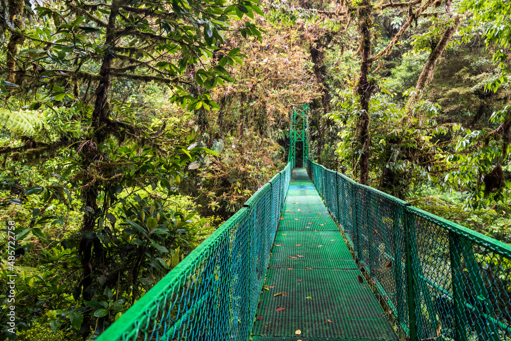 Fototapeta premium Monteverde Cloud Forest Reserve, seen from Selvatura Treetop hanging bridges, Costa Rica, Central America