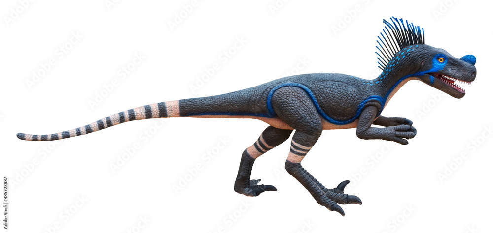 Obraz premium Ornitholestes is a small theropod dinosaur of the Late Jurassic, Ornitholestes isolated on white background with clipping path