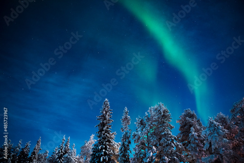Amazing bright green Northern Lights display (Aurora Borealis) over trees in a forest in the beautiful, colourful night sky, Pallas-Yllästunturi National Park, Lapland, Finland, Arctic Circle photo