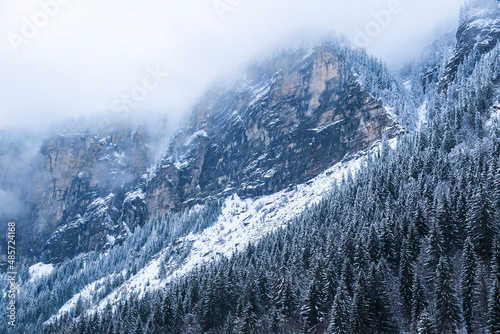 Winter landscape, Avoriaz Ski Area, Port du Soleil, Auvergne Rhone Alpes, Alps, France, Europe