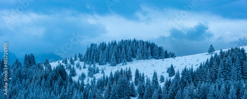 Winter landscape near Bran in the Carpathian Mountains, Transylvania, Romania